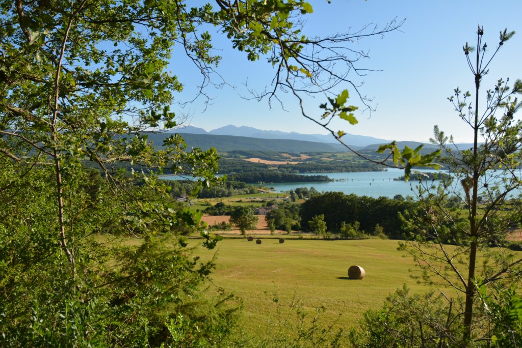 Lac de Montbel devant les Pyrénées